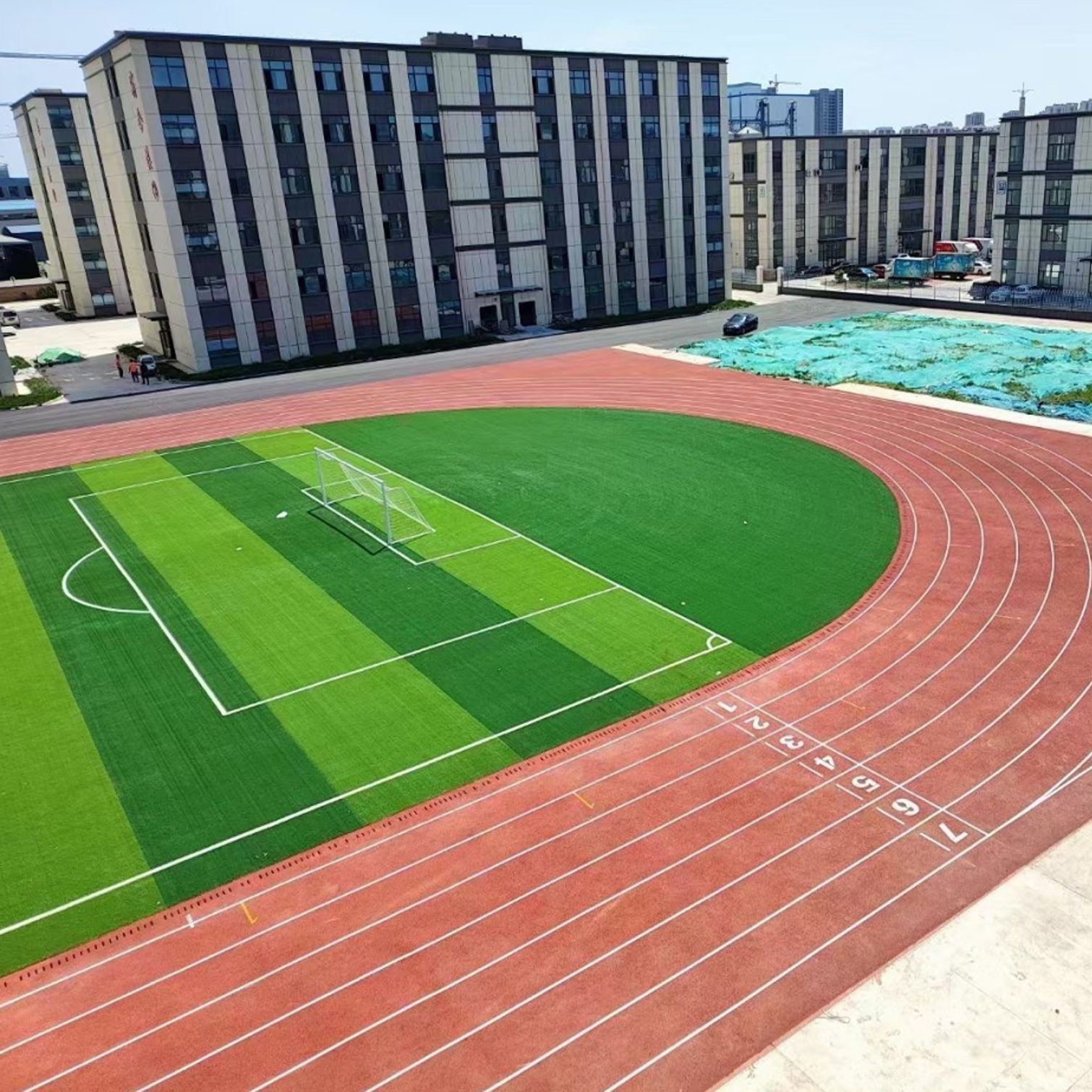 Grass for Football Filed