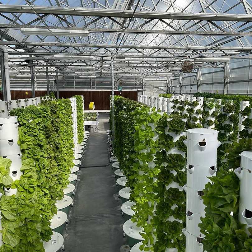 Comercial Garden Farming Vertical Hydroponics System for Greenhouse Hydroponic Tower