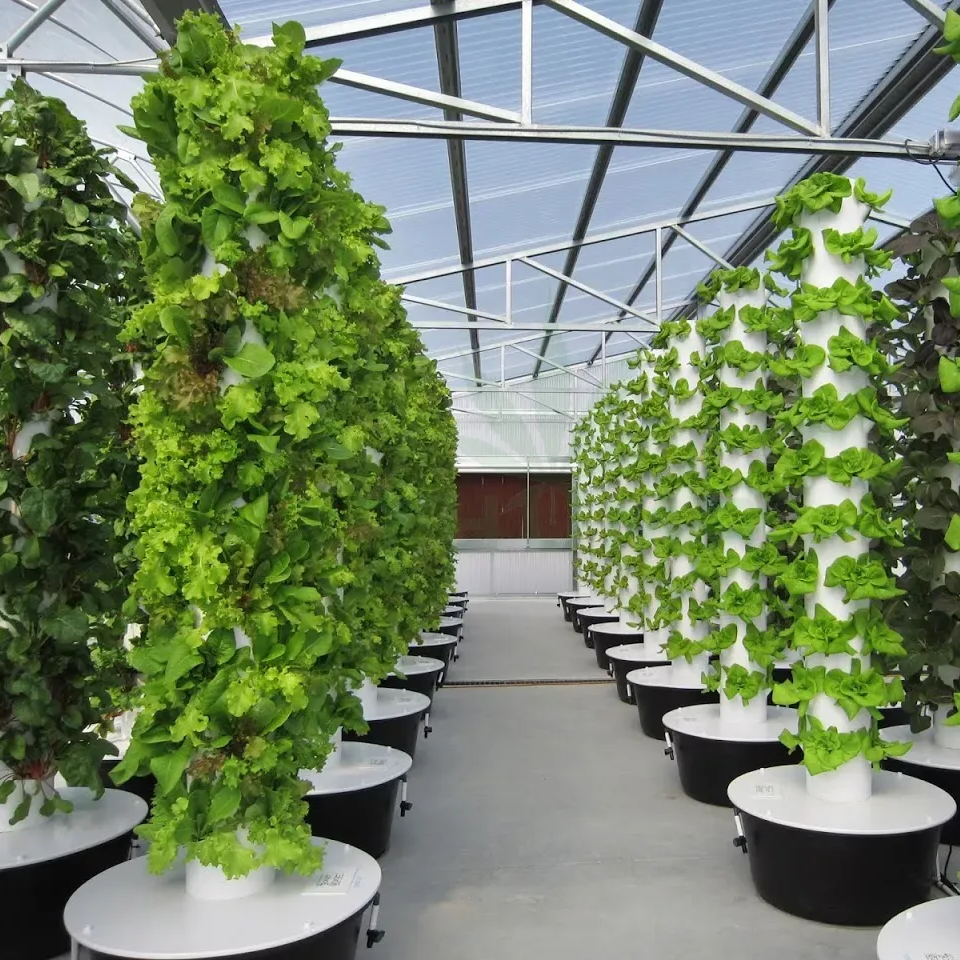 Comercial Garden Farming Vertical Hydroponics System for Greenhouse Hydroponic Tower