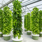 Greenhouse Farm Vertical Farming Hydroponic Tower Growing System for Vegetables