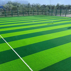 Wear Resistant Synthetic Grass Carpet Outdoor Artificial Grass for Football Field