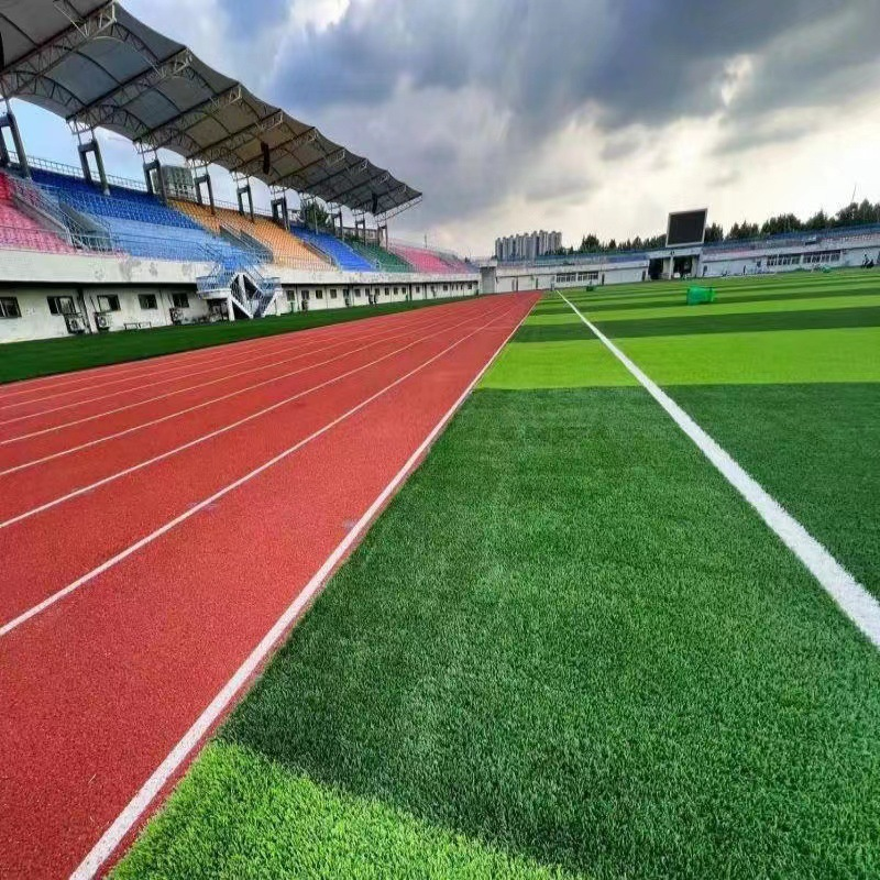 Wear Resistant Synthetic Grass Carpet Outdoor Artificial Grass for Football Field