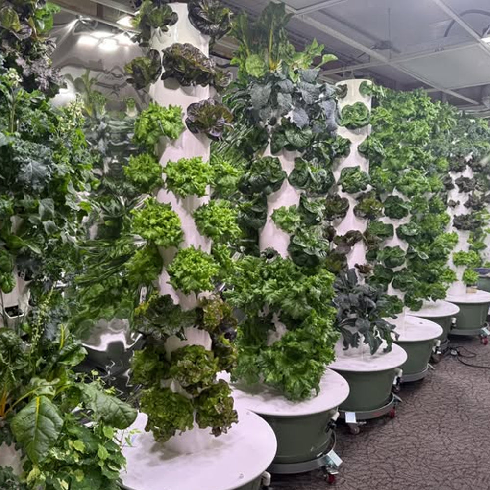 Greenhouse Farm Vertical Farming Hydroponic Tower Growing System for Vegetables