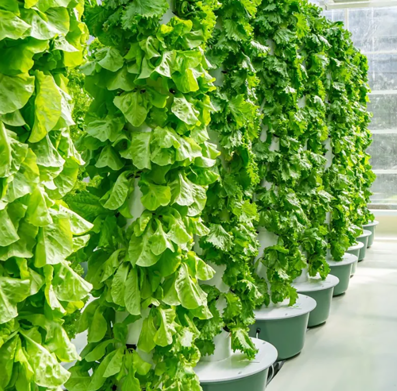 Greenhouse Farm Vertical Farming Hydroponic Tower Growing System for Vegetables